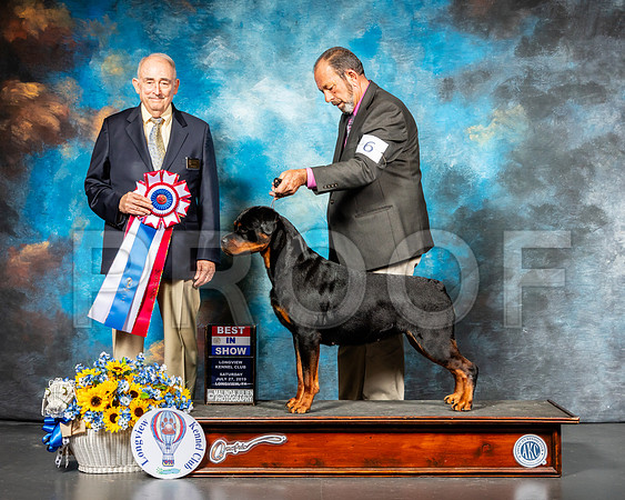 Rottweiler #6 Sat BIS Judge Joe Walton-SSR_5835-Lngvw2019-HR3
