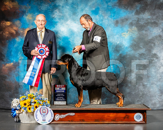 Rottweiler #6 Sat BIS Judge Joe Walton-SSR_5836-Lngvw2019-HR3