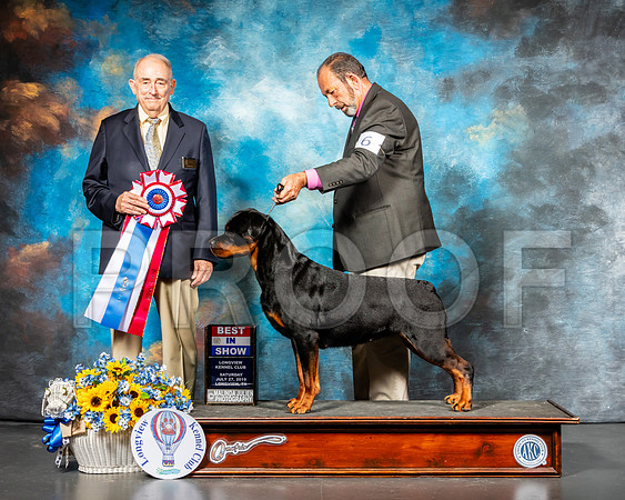 Rottweiler #6 Sat BIS Judge Joe Walton-SSR_5838-Lngvw2019-HR3