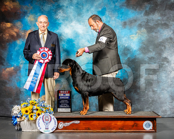 Rottweiler #6 Sat BIS Judge Joe Walton-SSR_5839-Lngvw2019-HR3