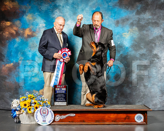 Rottweiler #6 Sat BIS Judge Joe Walton-SSR_5840-Lngvw2019-HR3