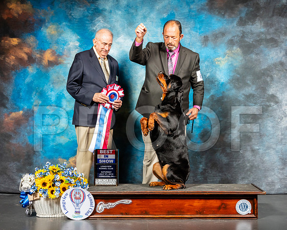 Rottweiler #6 Sat BIS Judge Joe Walton-SSR_5841-Lngvw2019-HR3