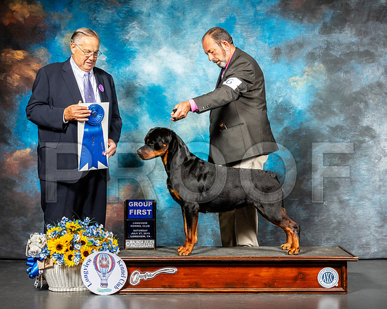 Rottweiler #6 Sat G1 Judge John Wade-SSR_5846-Lngvw2019-HR3