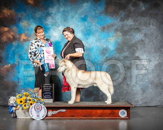 Siberian Husky #17 OHG1 Judge Gina Box Young-SSR_5819-Lngvw2019-HR3