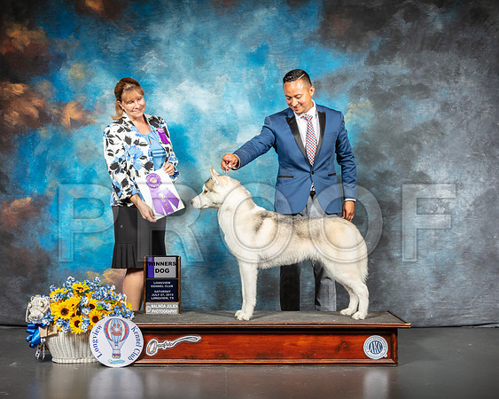 Siberian Husky #9 Sat WD Judge Gina Box Young-SSR_5822-Lngvw2019-HR3