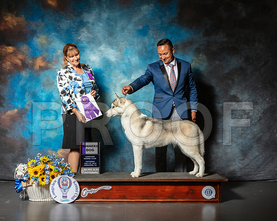 Siberian Husky #9 Sat WD Judge Gina Box Young-SSR_5823-Lngvw2019-HR3