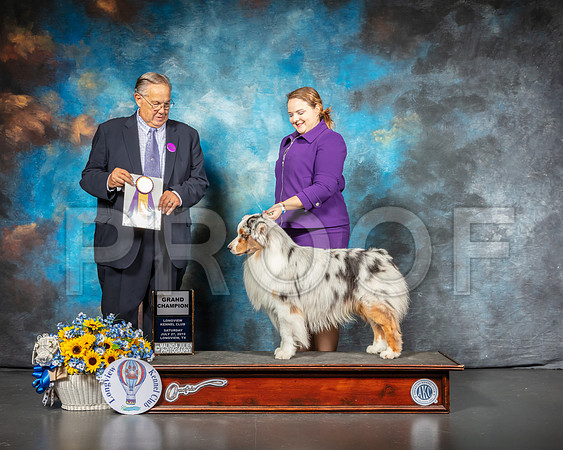 Australian Shepherd #17 Sat BOB Judge John Wade-SSR_5794-Lngvw2019-HR3