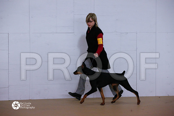 Dobe-6080-HtoJan14-HR