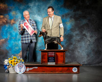 Rat Terrier #4 Sat G2 Judge Dr Steve Keating