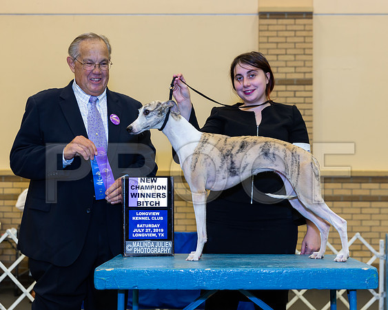 Whippet #14 Sat WB Nch Judge John Wade-_ST_6784-Lngvw2019-HR3