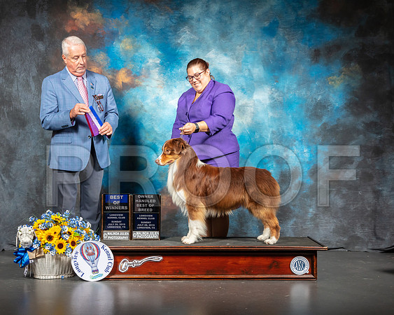 Australian #9 Sun Judge Dr Steve Keating-SSR_5938-Lngvw2019-HR3