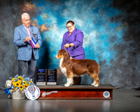 Australian #9 Sun Judge Dr Steve Keating