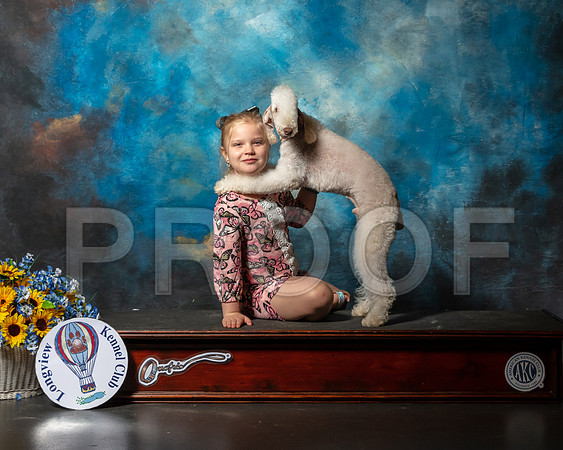 Bedlington Terrier Neveah-SSR_5900-Lngvw2019-HR3