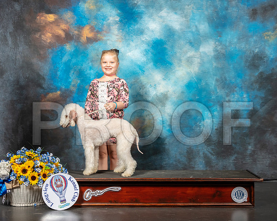 Bedlington Terrier Neveah-SSR_5906-Lngvw2019-HR3