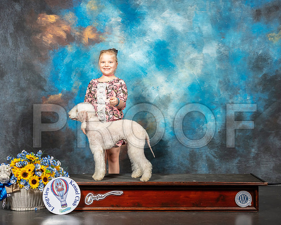 Bedlington Terrier Neveah-SSR_5910-Lngvw2019-HR3
