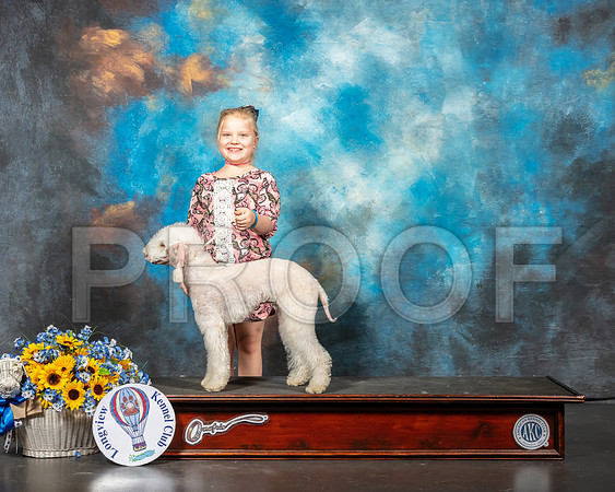 Bedlington Terrier Neveah-SSR_5911-Lngvw2019-HR3