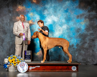 Rhodesian Ridgeback #19 Sun Judge Eugene Blake