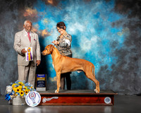 Rhodesian Ridgeback #7 Sun Judge Eugene Blake