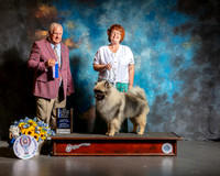 Keeshonden #7 Sun BOW NCh Judge Don Sutton