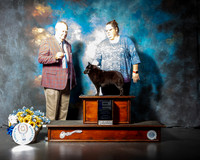 Schipperke #12 Sun WB Maj Judge Don Sutton