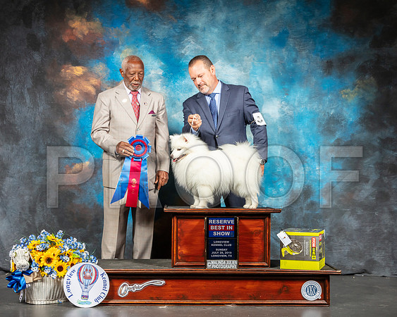 American Eskimo #5 Sun BIS Judge Eugene Blake-SSR_6288-Lngvw2019-HR3
