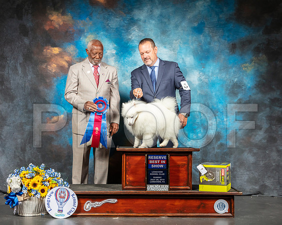 American Eskimo #5 Sun BIS Judge Eugene Blake-SSR_6290-Lngvw2019-HR3