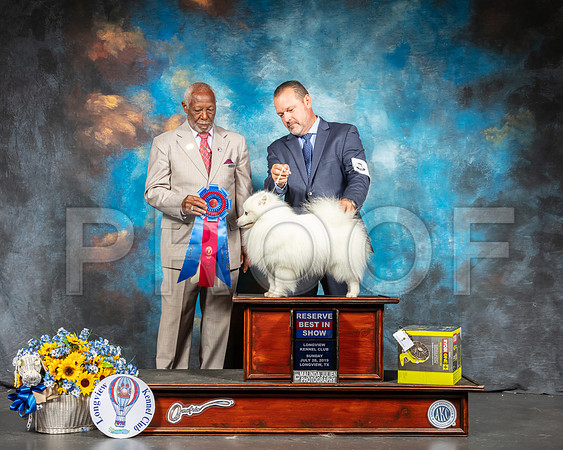 American Eskimo #5 Sun BIS Judge Eugene Blake-SSR_6291-Lngvw2019-HR3