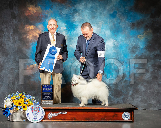 American Eskimo Sun G1 Judge Joe Walton-SSR_6210-Lngvw2019-HR3