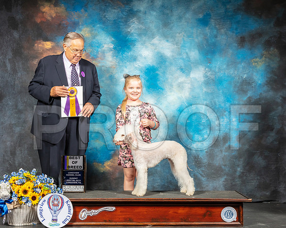 Bedlington Terrier #5 Sun BOB  Judge John Wade-SSR_6098-Lngvw2019-HR3
