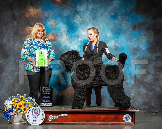 Black Russian Terrier #5 Sun OHG2 Judge Janice Finney-SSR_6228-Lngvw2019-HR3