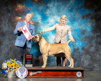Boerbel #6 Sun G2 Judge Dr Steve Keating