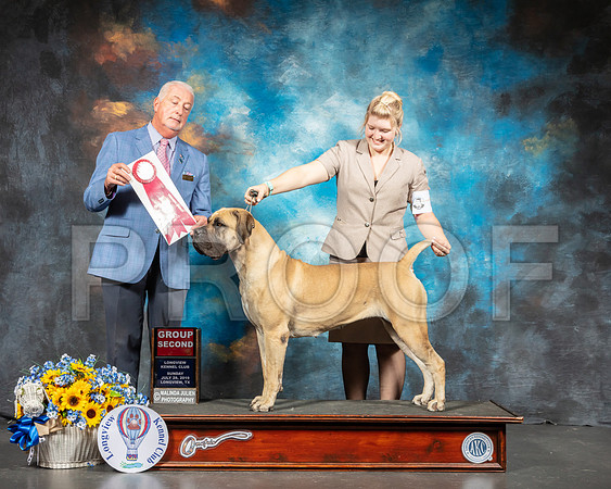 Boerbel #6 Sun G2 Judge Dr Steve Keating-SSR_6198-Lngvw2019-HR3