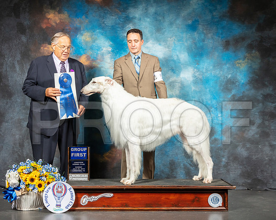 Borzoi #5 Sun G1 Judge John Wade-SSR_6133-Lngvw2019-HR3
