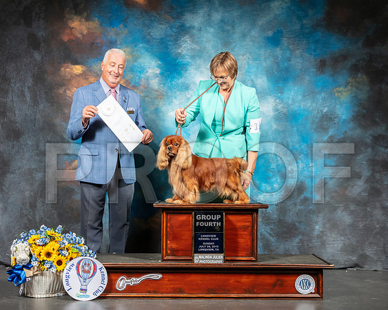 Cavalier King Charles Spaniel #11 Sun G4 Judge Dr Steve Keating-SSR_6264-Lngvw2019-HR3