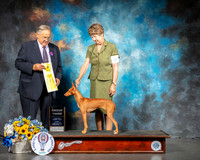 Cirnechi #6 Sun G3 Judge John Wade