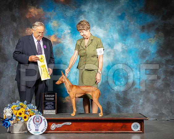 Cirnechi #6 Sun G3 Judge John Wade-SSR_6136-Lngvw2019-HR3