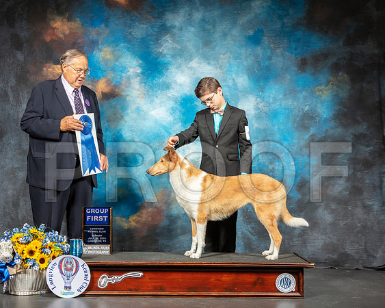 Collie Smooth #6 Sun G1 Judge John Wade-SSR_6184-Lngvw2019-HR3