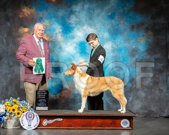 Collie Smooth #6 Sun G1 Judge John Wade-SSR_6186-Lngvw2019-HR3
