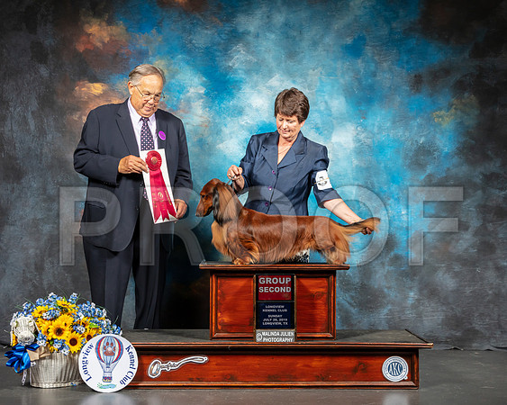 Dachshund Long #25 Sun G2 Judge John Wade-SSR_6143-Lngvw2019-HR3
