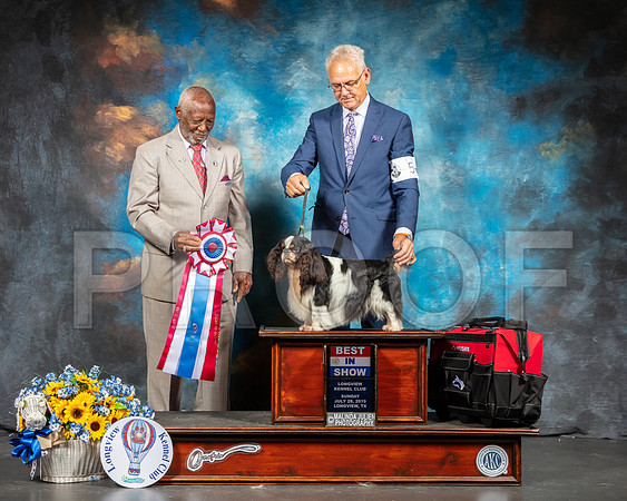 English Toy #5 Sun BIS Judge Eugene Blake-SSR_6281-Lngvw2019-HR3