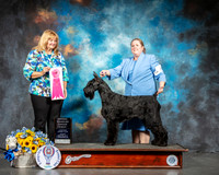 Giant Schnauzer #6 Sun OHG1 Judge Janice Finney