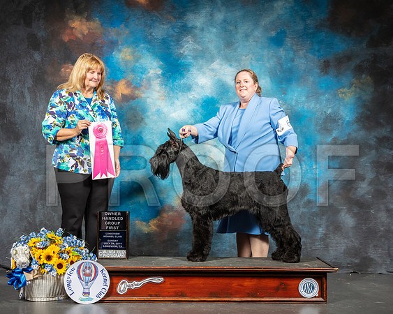 Giant Schnauzer #6 Sun OHG1 Judge Janice Finney-SSR_6224-Lngvw2019-HR3