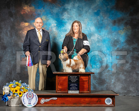 Lhasa Apso #16 Sun BOS Judge Joe Walton-SSR_6156-Lngvw2019-HR3