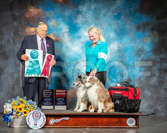 Miniature American Shepherd #7 Sun G2 OHBIS Judge John Wade-SSR_6273-Lngvw2019-HR3