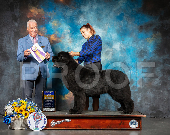 Newfoundland #5 Sun BOB Judge Dr Steve Keating-SSR_6231-Lngvw2019-HR3