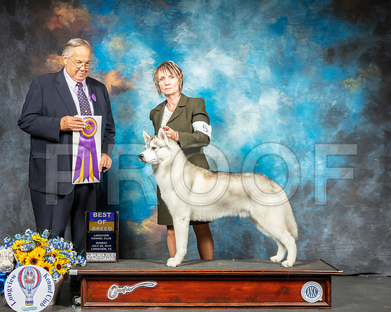 Siberian Husky #5 Sun BOB Judge John Wade-SSR_6084-Lngvw2019-HR3