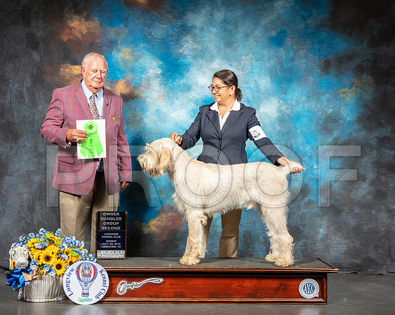 Spinoni #7 Sun OHG2 Judge Don Sutton-SSR_6206-Lngvw2019-HR3