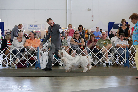 _JJ_1499-DallasJul2014-HR3
