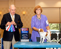 Japanese Chin #22 Sun BOS BOW Judge Joe Walton