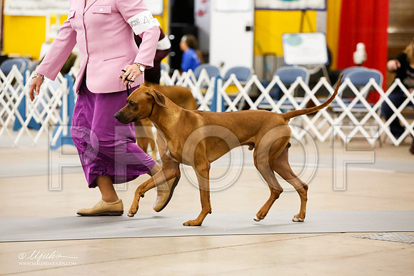 _JJ_8613-FWKCMar2015-HR3